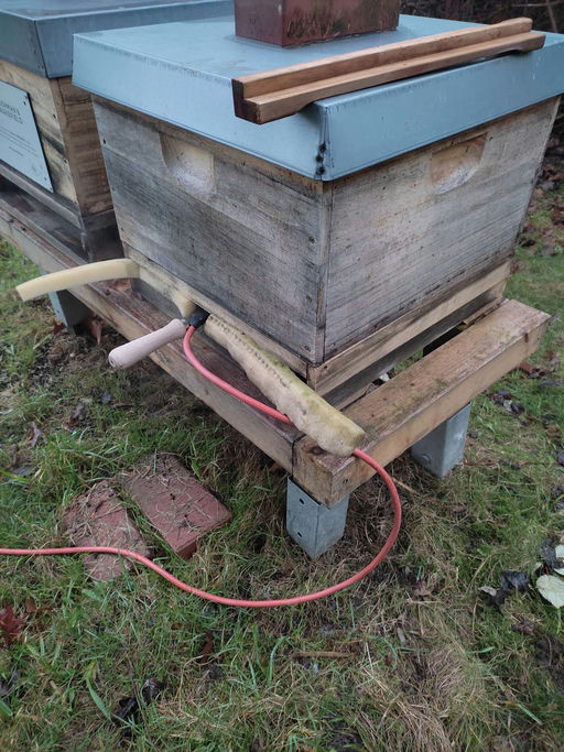 Winterbehandlung mit Oxalsäure Bild 1