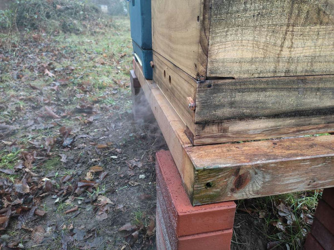 Winterbehandlung mit Oxalsäure Bild 2