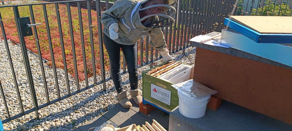 Endlich sind sie da! Bild 1