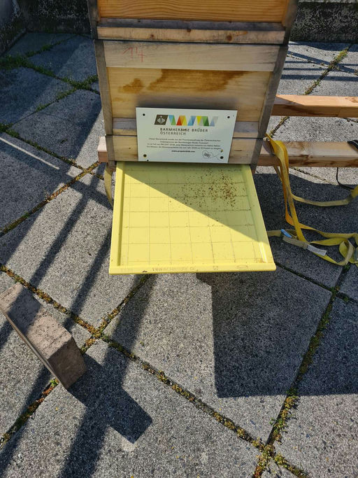 Imkern im September Bild 2