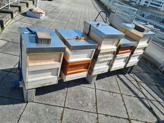 Imkern im Oktober,
Kontrolle der Futtervorräte