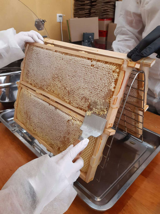 Das Monat der Ernte Bild 1