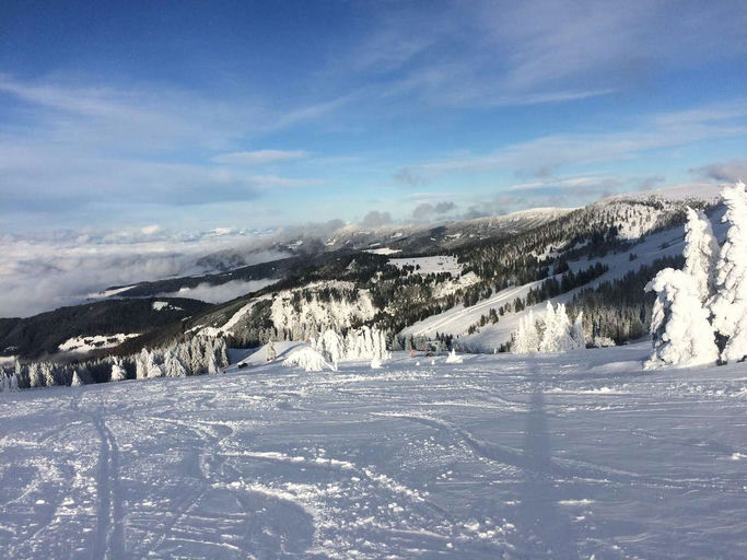 Alles tief verschneit