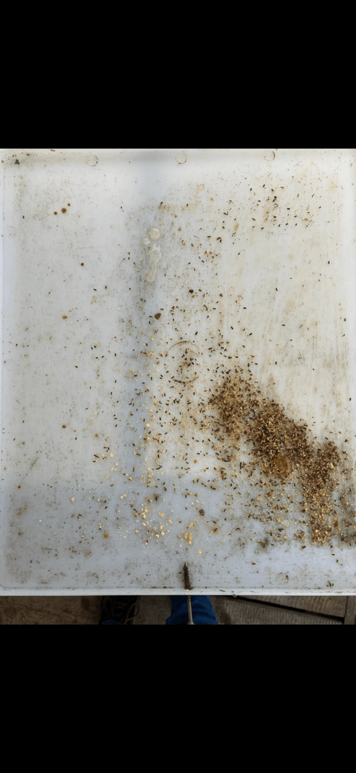 Kontrolle und eventuell Nachbehandlung