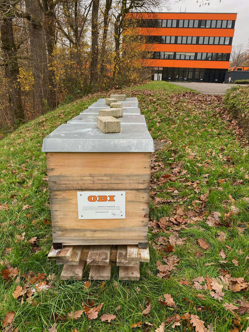 Die Winterbehandlung