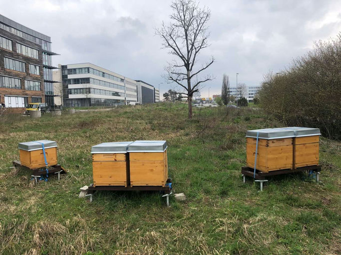 Entwicklung der Völker Bild 2