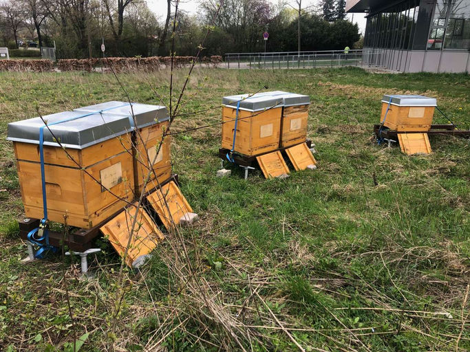 Entwicklung der Völker Bild 3