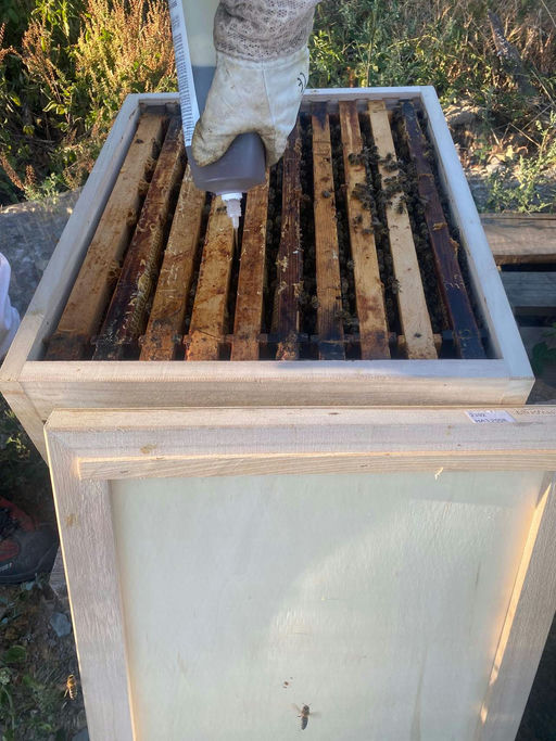 Varroa Nachbehandlung