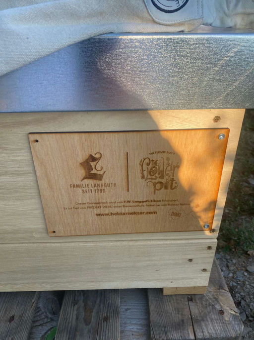 Die Blüten locken die Bienen an