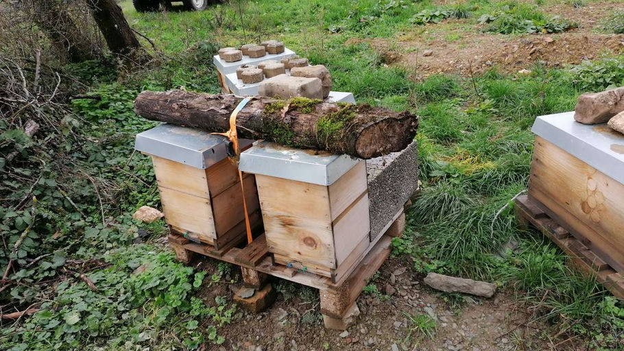 Der Start ins neue Jahr