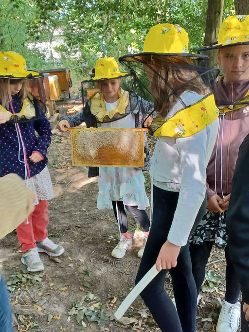 Sommerferienprogramm mit Bienen