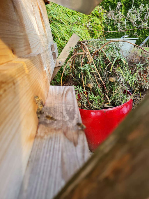 Ein neues Jahr beginnt!