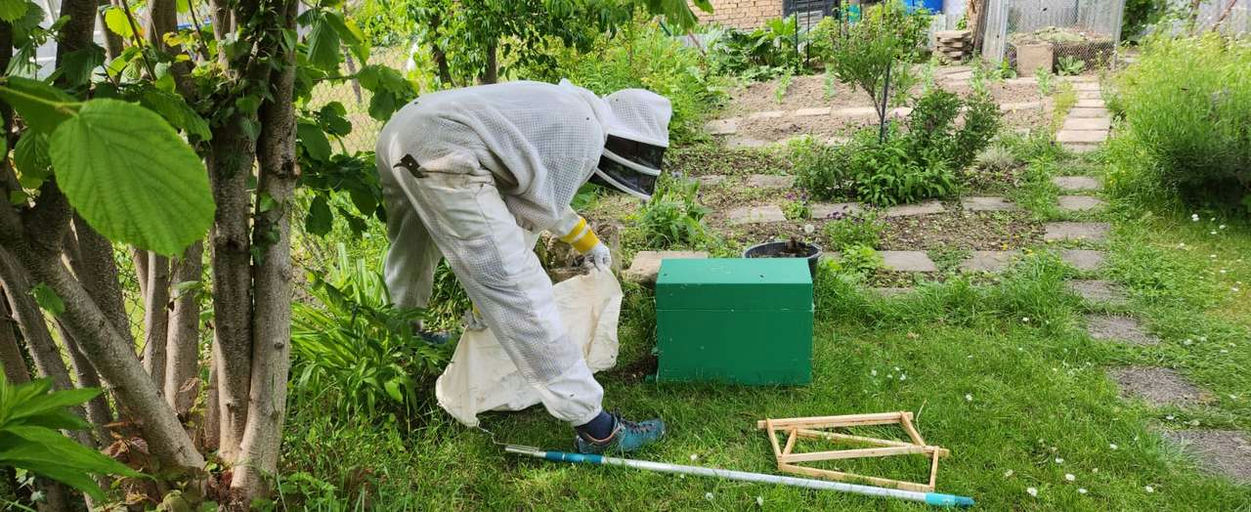 Die zeit der Schwärme endet.
