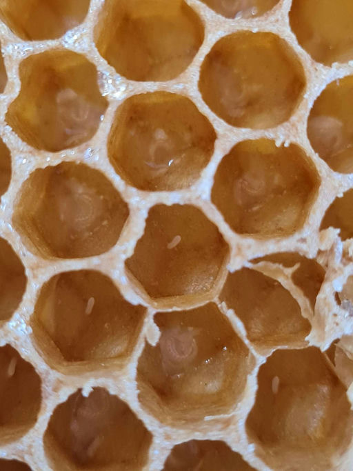 Es geht endlich los!