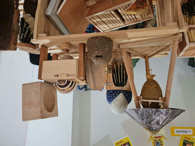 Es kribbelt in den Fingern der Imkerin! Bild 1