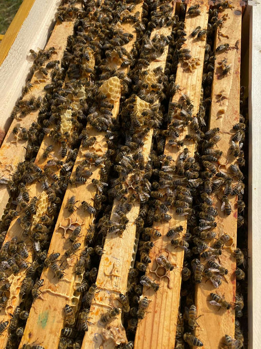 Eine erfolgreiche Kontrolle bei guten Wetter