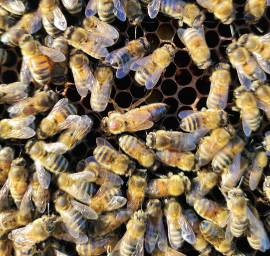 Ein paar schöne Tage