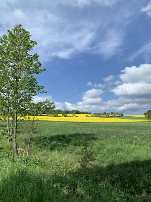 Mitte Mai gibt es den nächsten Honigraum