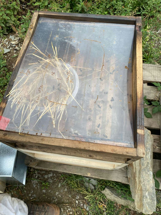 Fütterung für den Winter