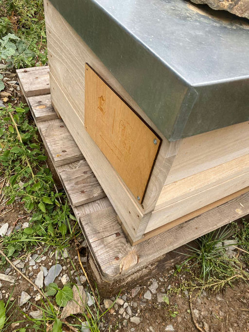 Jetzt wird es kritisch