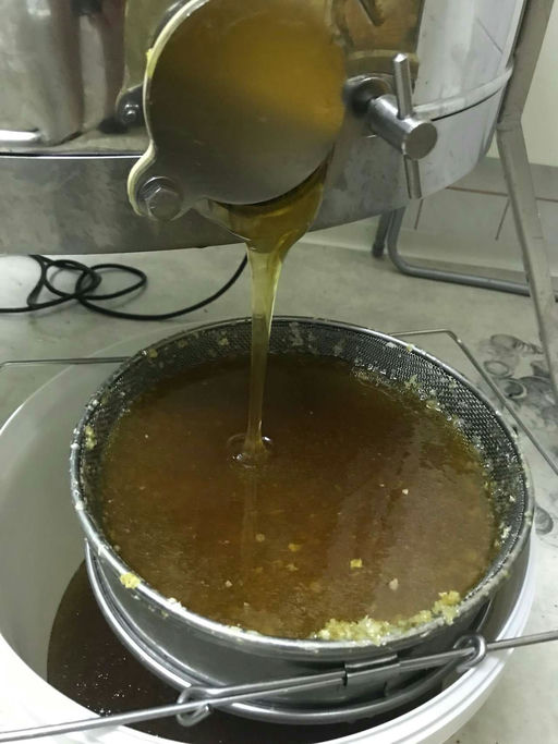 Die erste Honig Ernte