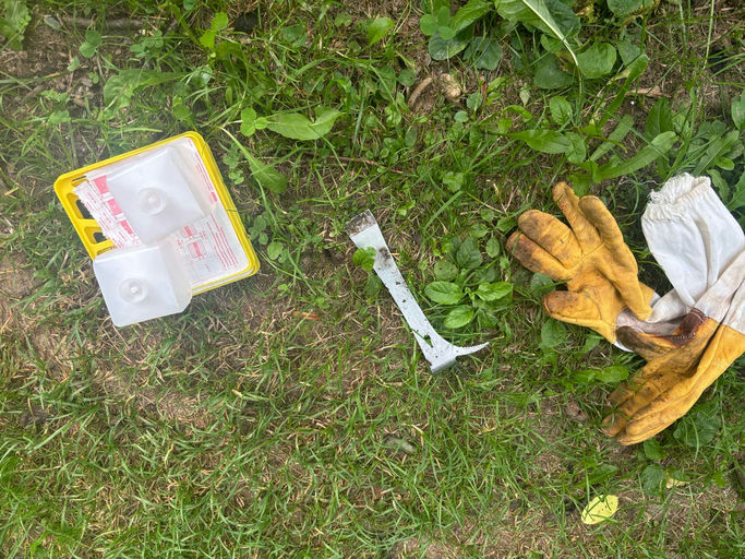 Varroabehandlung Bild 2