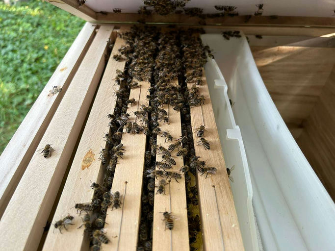 Oft kommt es anders … Bild 1