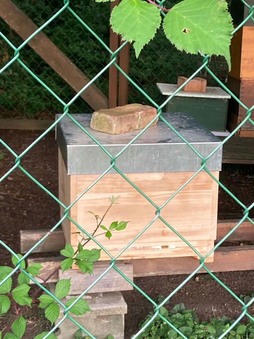 Oft kommt es anders … Bild 2