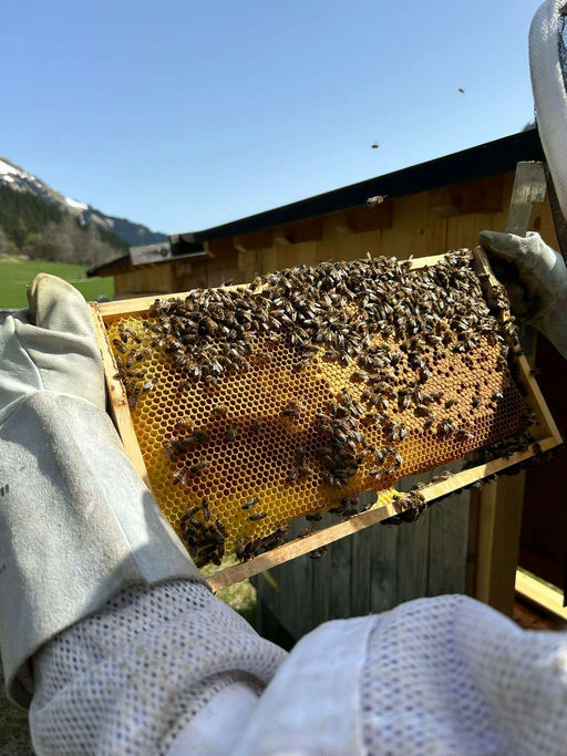 März - Zeit für Vorbereitungen und Auswinterung