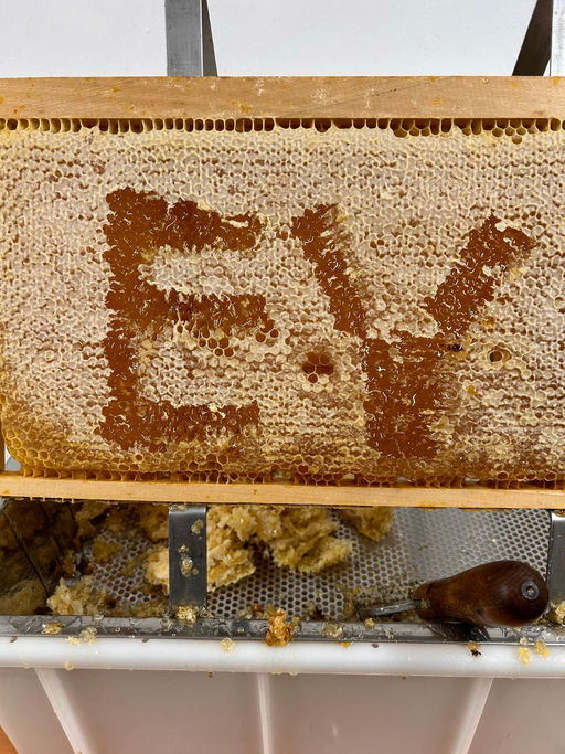 Das flüssige Gold Bild 2