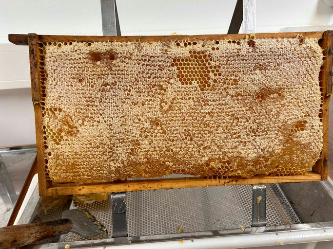 Das flüssige Gold Bild 3