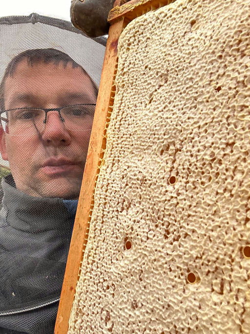 Das flüssige Gold Bild 4