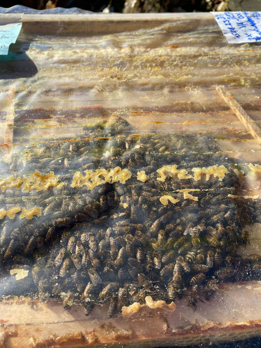 Neujahrskontrolle Bild 1