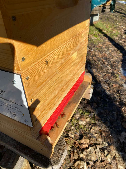 Neujahrskontrolle Bild 3