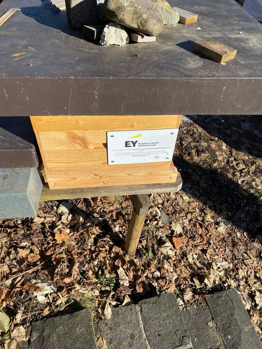 Neujahrskontrolle Bild 4