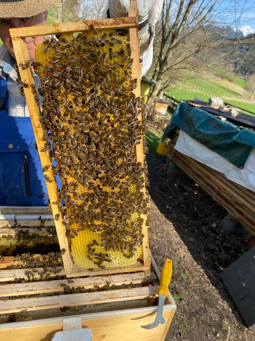 Kontrollarbeiten Bild 1