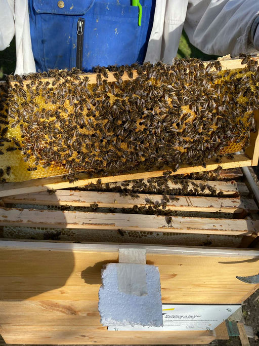 Kontrollarbeiten Bild 2