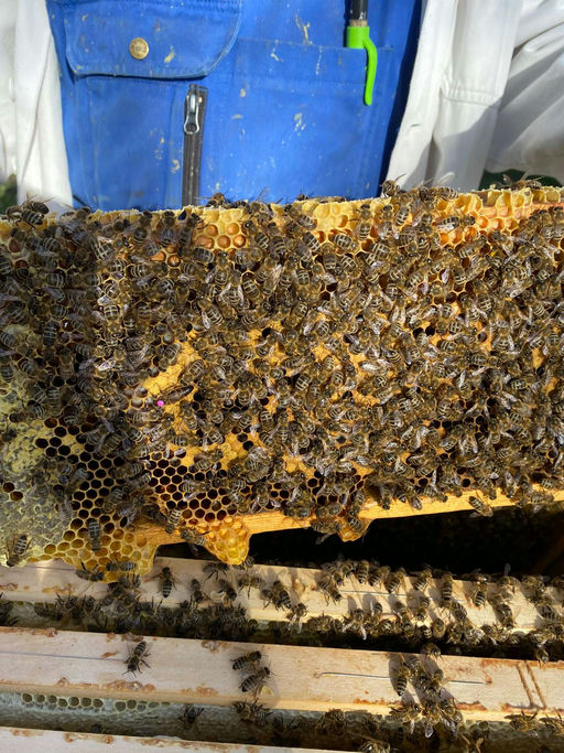 Kontrollarbeiten Bild 3