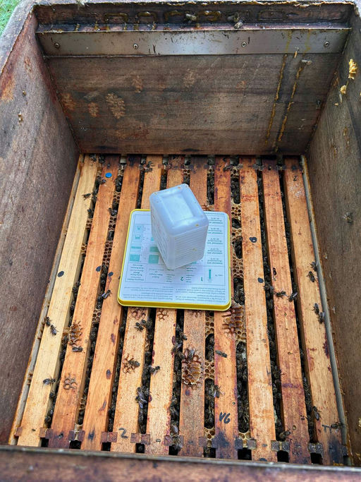 Nachbehandlung Bild 2