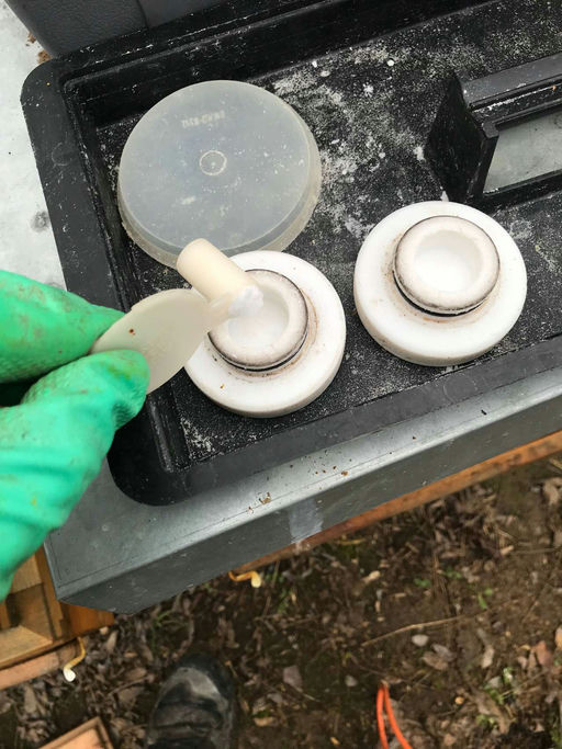 GEHTS DEN BIENEN GUT, GEHTS UNS ALLEN GUT! Bild 1