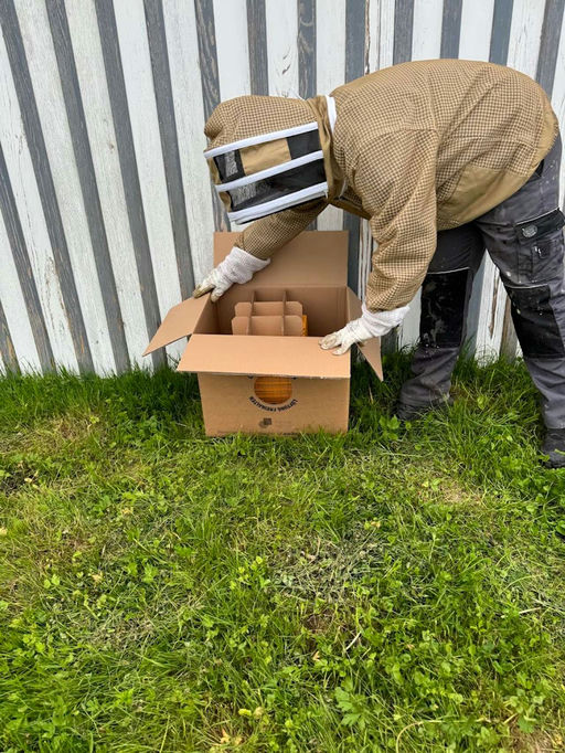 Wohoo! Sie sind da! Bild 3