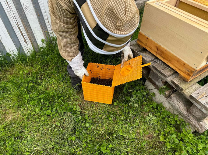 Wohoo! Sie sind da! Bild 1