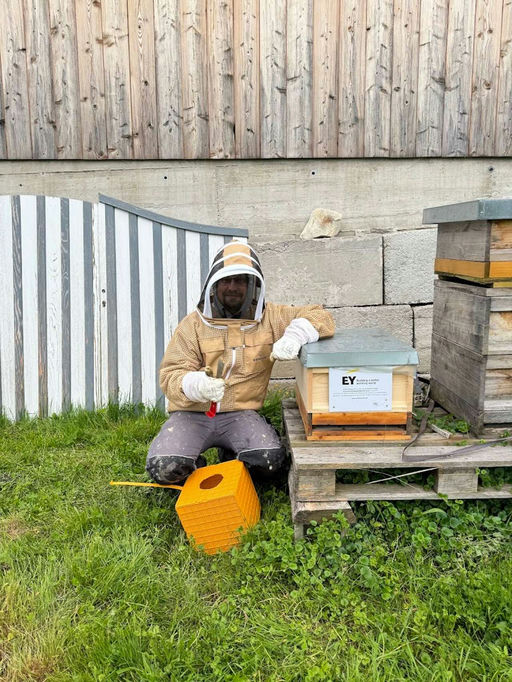 Wohoo! Sie sind da! Bild 4