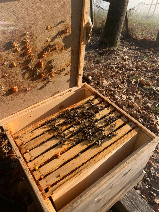 Winterbehandlung Bild 1