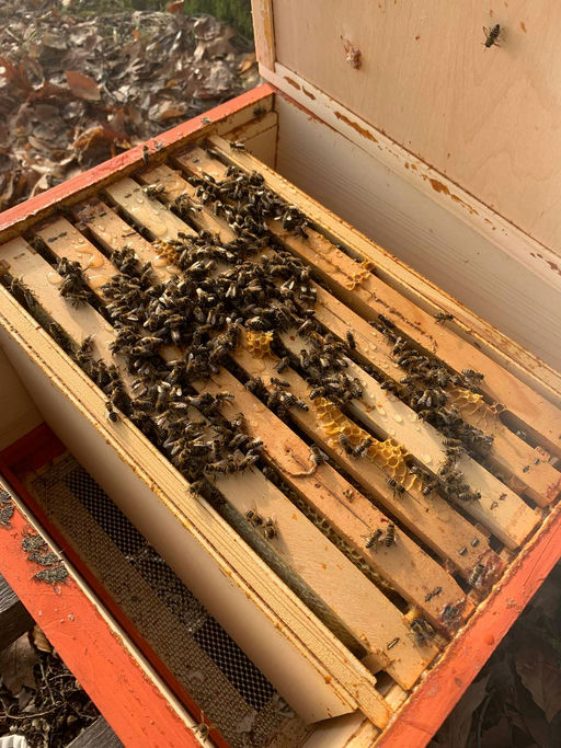 Winterbehandlung Bild 2