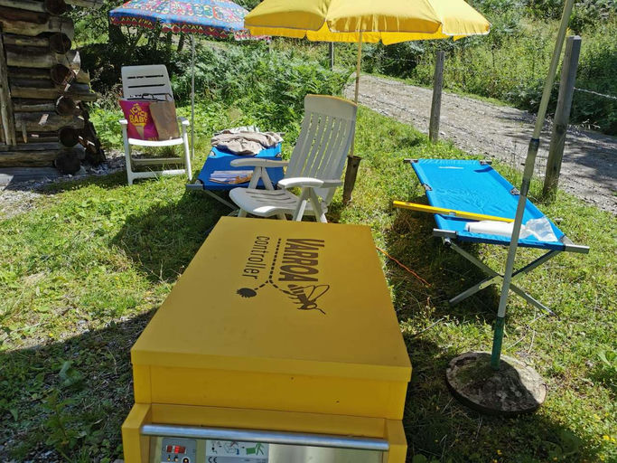 Propolisernte und Varroabehandlung Bild 3