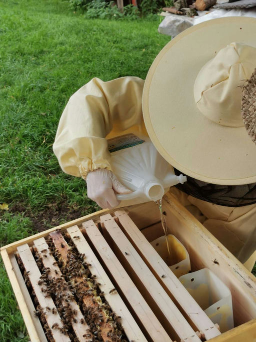 Erste Varroabehandlung Bild 6